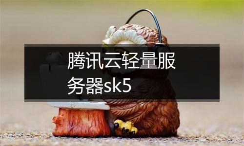 腾讯云轻量服务器sk5