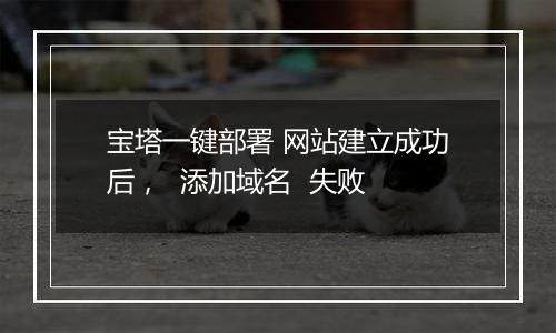 宝塔一键部署 网站建立成功后, 添加域名 失败