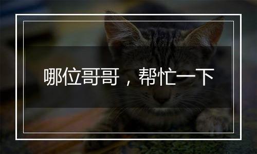 哪位哥哥，帮忙一下