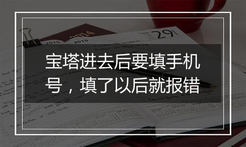 宝塔进去后要填手机号，填了以后就报错