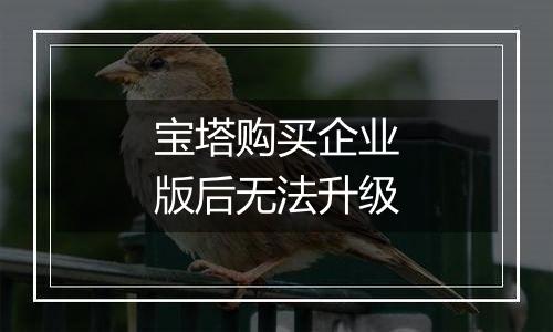 宝塔购买企业版后无法升级