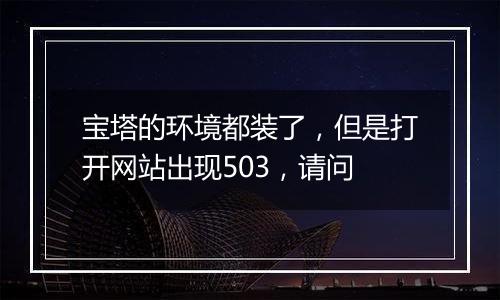 宝塔的环境都装了，但是打开网站出现503，请问
