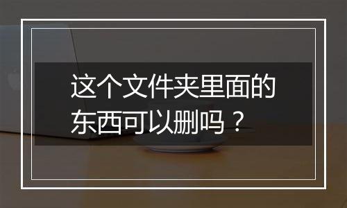 这个文件夹里面的东西可以删吗?