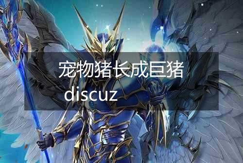 宠物猪长成巨猪 discuz