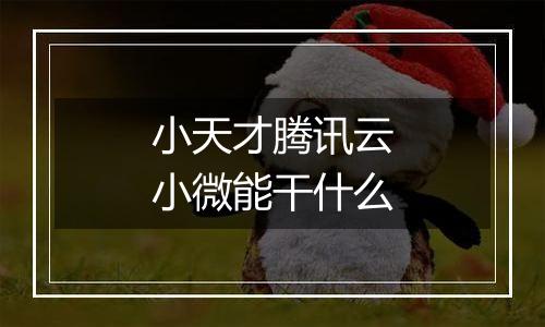 小天才腾讯云小微能干什么