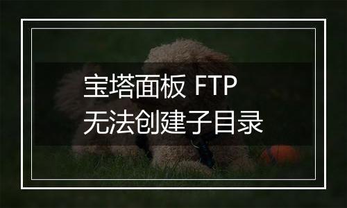 宝塔面板 FTP无法创建子目录