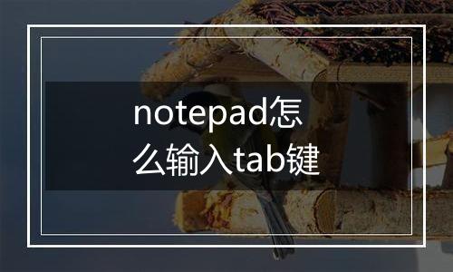 notepad怎么输入tab键