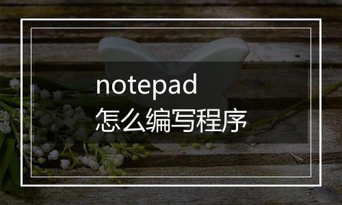 notepad怎么编写程序