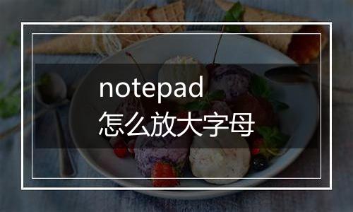 notepad怎么放大字母