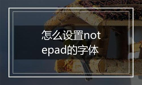 怎么设置notepad的字体