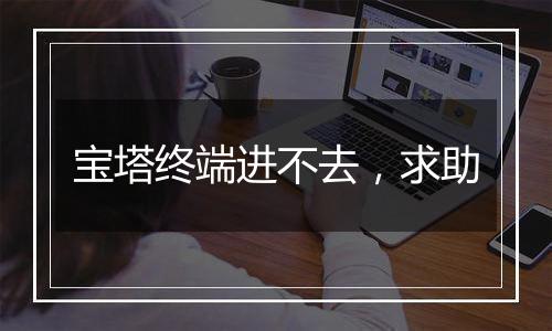宝塔终端进不去，求助