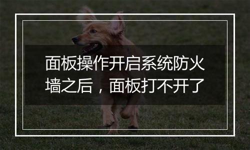 面板操作开启系统防火墙之后，面板打不开了
