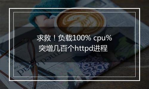 求救!负载100% cpu% 突增几百个httpd进程