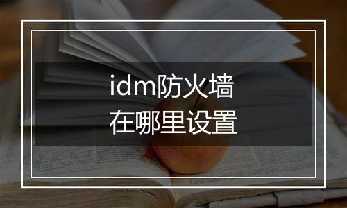 idm防火墙在哪里设置