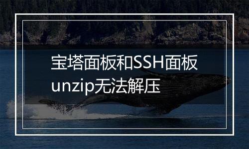宝塔面板和SSH面板unzip无法解压