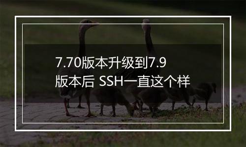 7.70版本升级到7.9版本后 SSH一直这个样