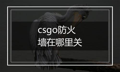 csgo防火墙在哪里关