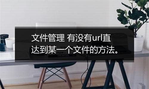 文件管理 有没有url直达到某一个文件的方法。