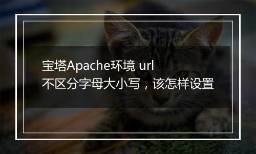 宝塔Apache环境 url不区分字母大小写,该怎样设置