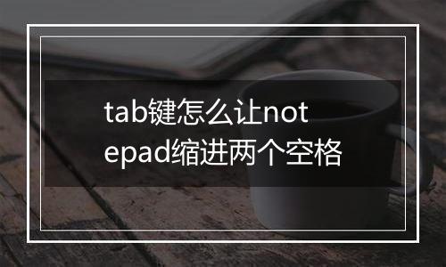 tab键怎么让notepad缩进两个空格