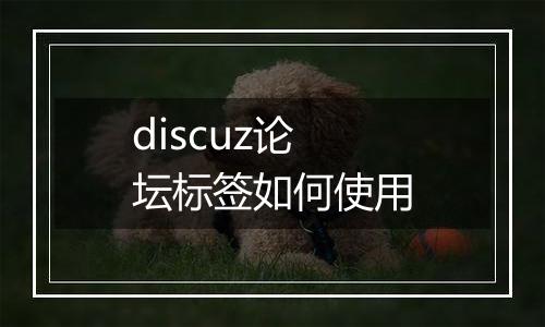 discuz论坛标签如何使用