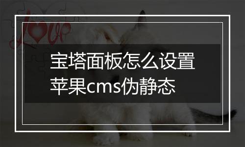 宝塔面板怎么设置苹果cms伪静态