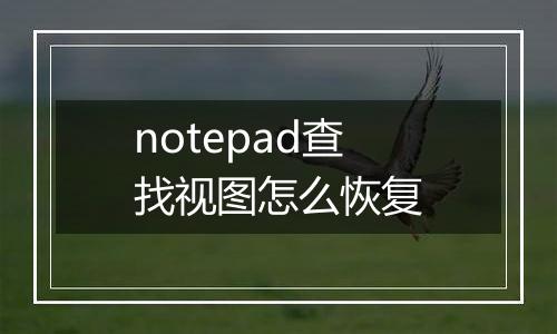 notepad查找视图怎么恢复