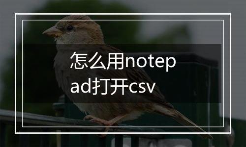 怎么用notepad打开csv