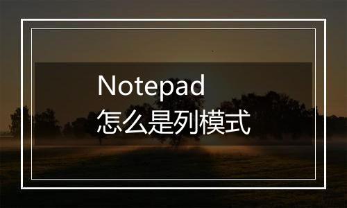 Notepad怎么是列模式