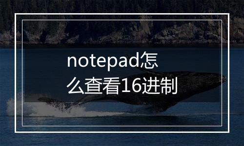 notepad怎么查看16进制