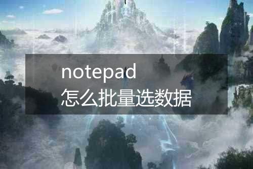 notepad怎么批量选数据