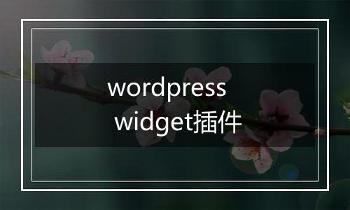 wordpress widget插件