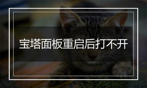 宝塔面板重启后打不开