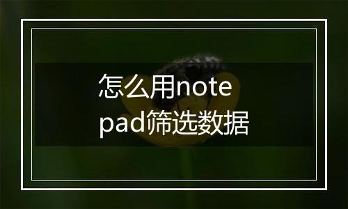 怎么用notepad筛选数据