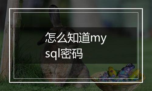 怎么知道mysql密码