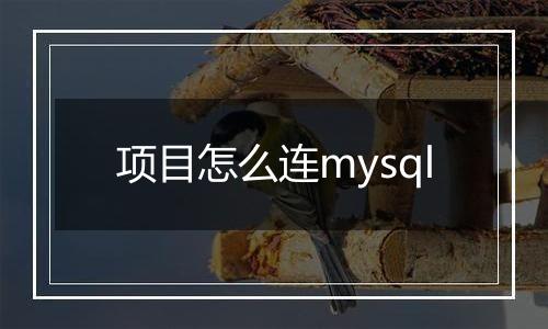 项目怎么连mysql