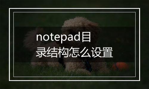 notepad目录结构怎么设置