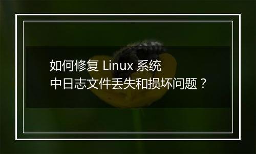 如何修复 Linux 系统中日志文件丢失和损坏问题?