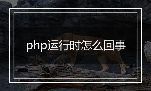 php运行时怎么回事