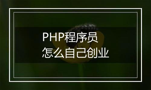 PHP程序员怎么自己创业