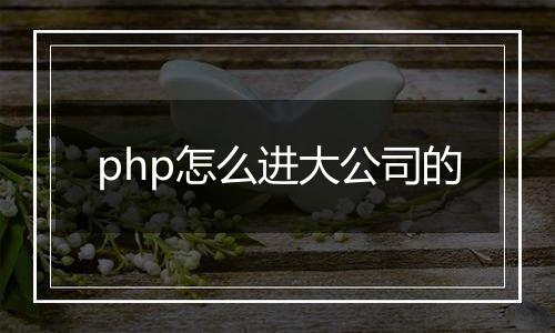 php怎么进大公司的