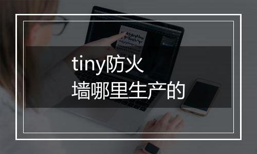 tiny防火墙哪里生产的