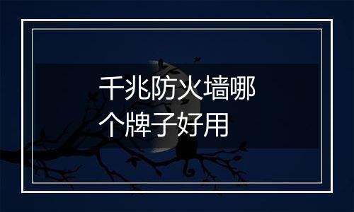 千兆防火墙哪个牌子好用