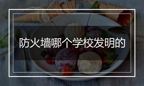 防火墙哪个学校发明的