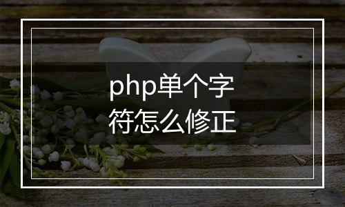 php单个字符怎么修正