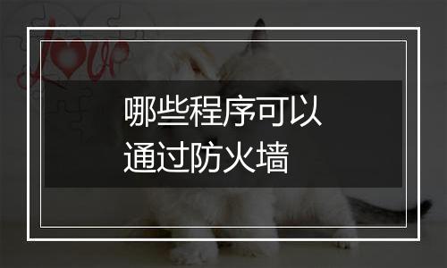 哪些程序可以通过防火墙