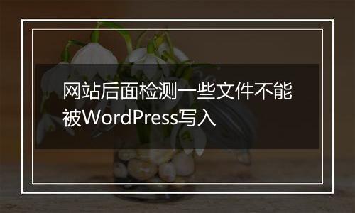 网站后面检测一些文件不能被WordPress写入