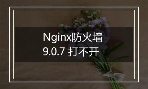 Nginx防火墙 9.0.7 打不开