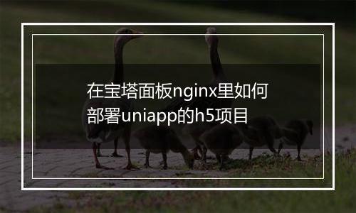 在宝塔面板nginx里如何部署uniapp的h5项目