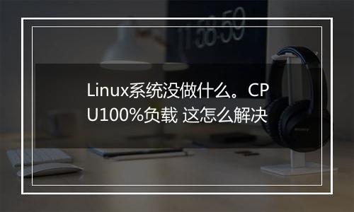 Linux系统没做什么。CPU100%负载 这怎么解决
